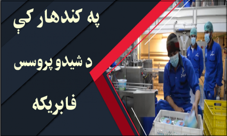 کندهار کې د شېدو د پروسېس فابريکه | Milk Processing Factory in Kandahar